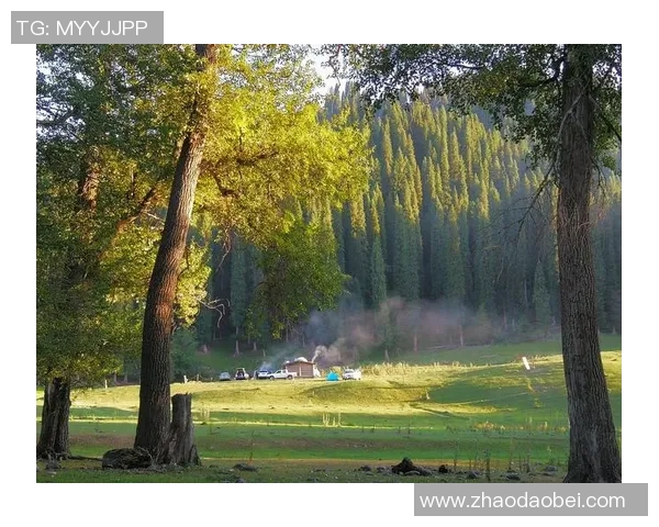 甘冈对阵朗斯精彩直播全程回顾及赛后分析尽在这里