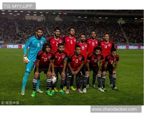 阿根廷与厄瓜多尔对决分析:战术布局与球员表现全解析 阿根廷与厄瓜多尔对决分析:战术布局与球员表现全解析