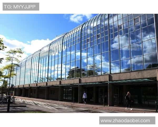 马力克的传奇人生与不屈精神探寻之旅