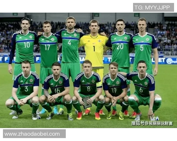 法国与爱尔兰足球实力深度对比及未来发展趋势分析