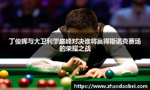 丁俊晖与大卫利里巅峰对决谁将赢得斯诺克赛场的荣耀之战